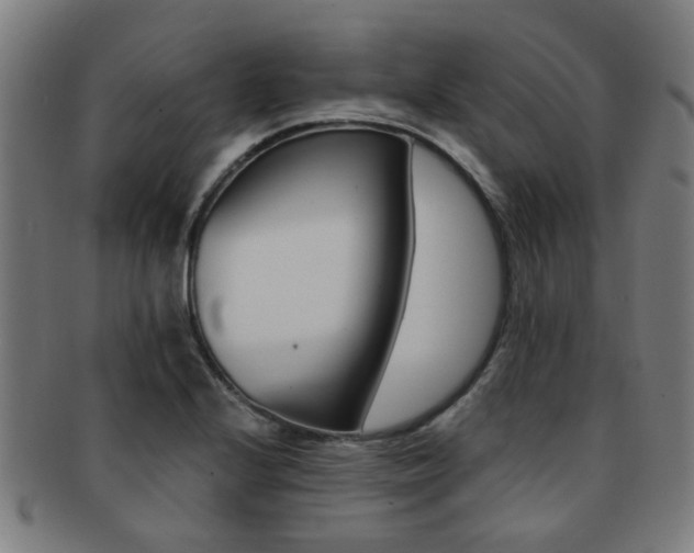X0000091901224200709051057