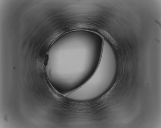 X0000091901225200709051057