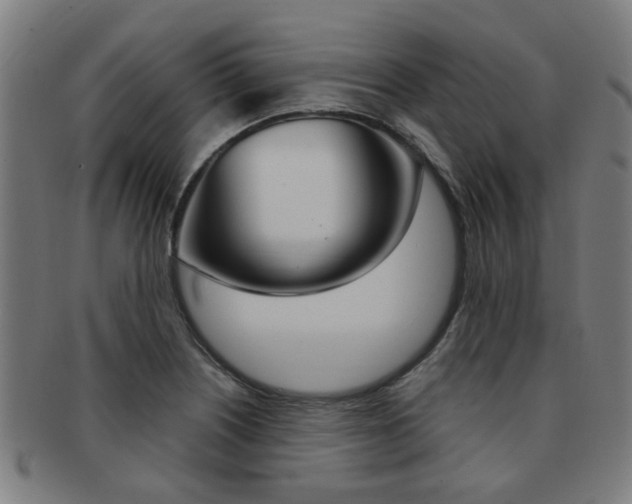 X0000091901226200709051057
