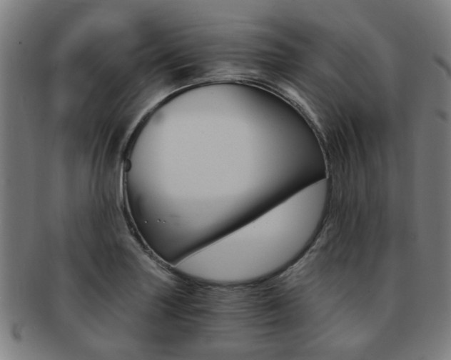 X0000091901227200709051057