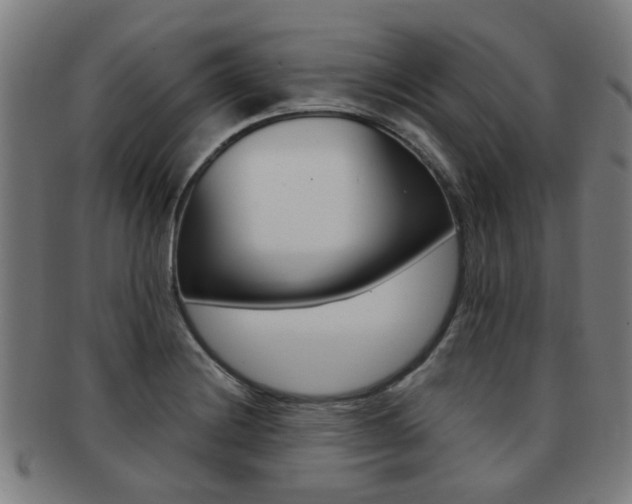 X0000091901228200709051057