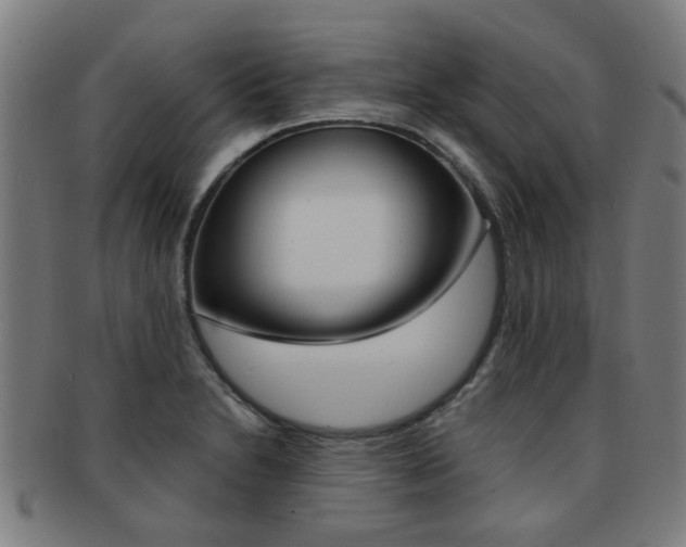 X0000091901230200709051057
