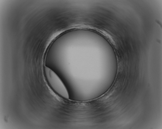 X0000091901231200709051057