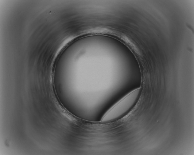 X0000091901232200709051057