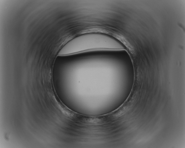 X0000091901233200709051057