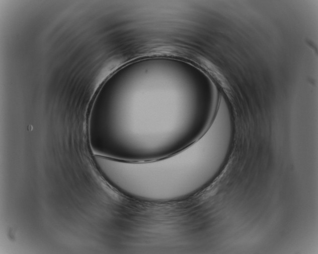 X0000091901234200709051057