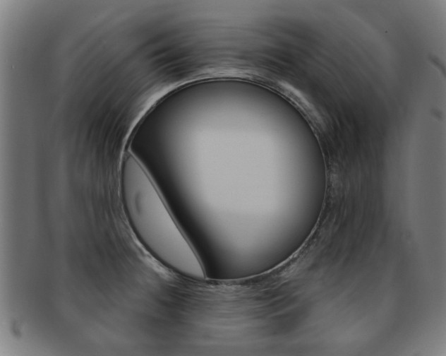X0000091901236200709051057