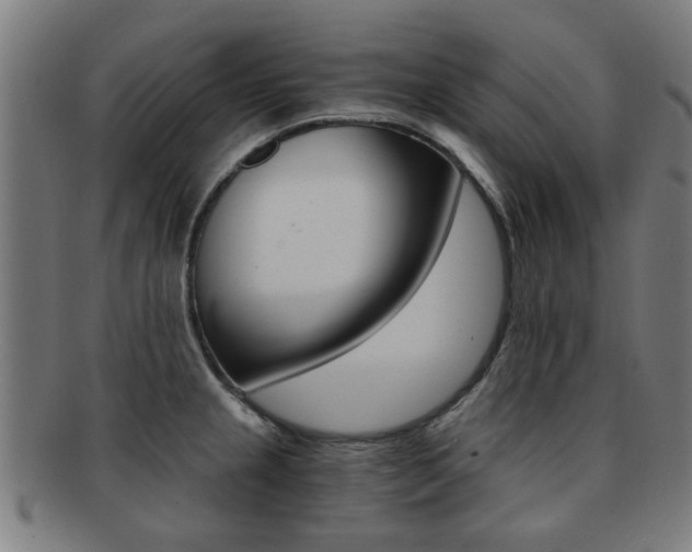 X0000091901237200709051057