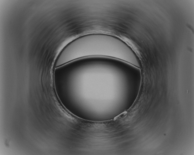 X0000091901238200709051057
