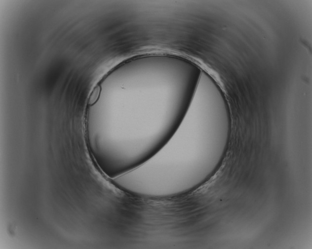 X0000091901239200709051057