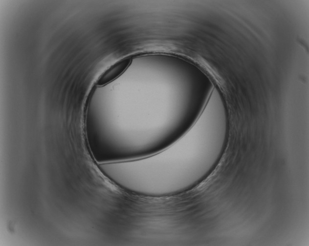 X0000091901240200709051057