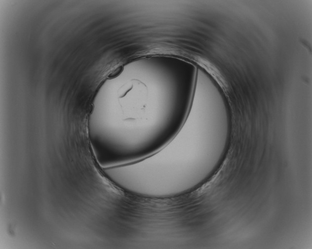X0000091901241200709051057