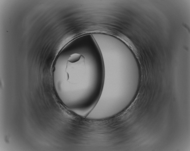 X0000091901242200709051057