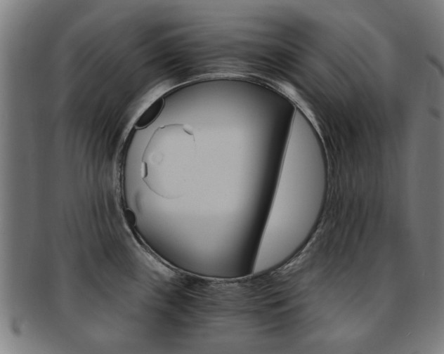 X0000091901243200709051057