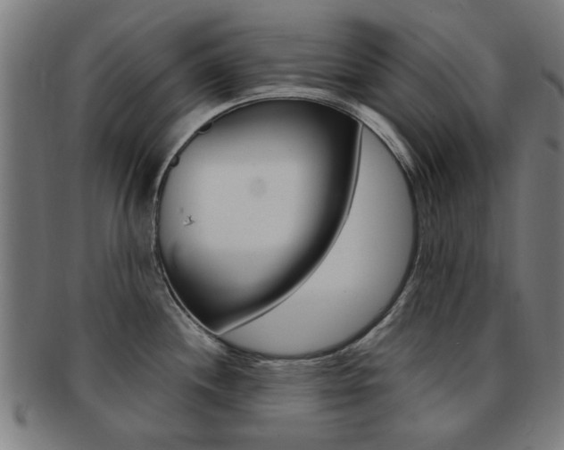 X0000091901244200709051057
