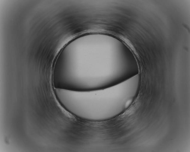 X0000091901245200709051057