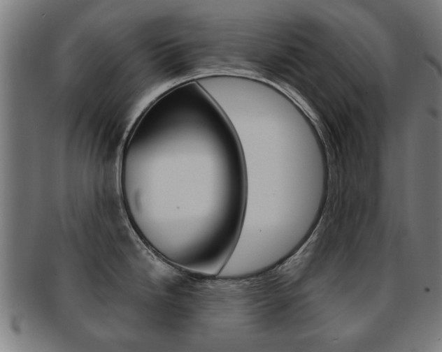 X0000091901246200709051057