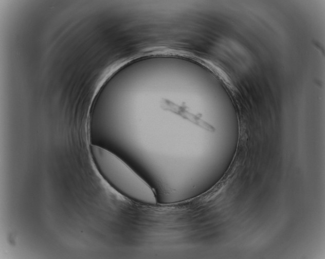 X0000091901247200709051057