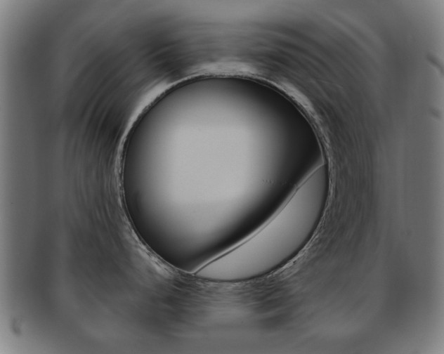 X0000091901248200709051057