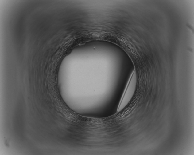 X0000091901249200709051057