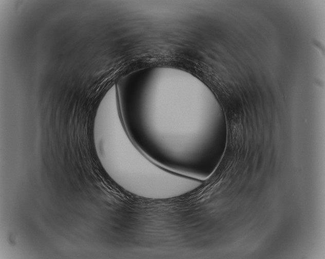 X0000091901250200709051057