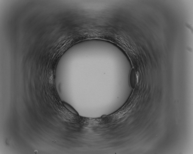 X0000091901251200709051057