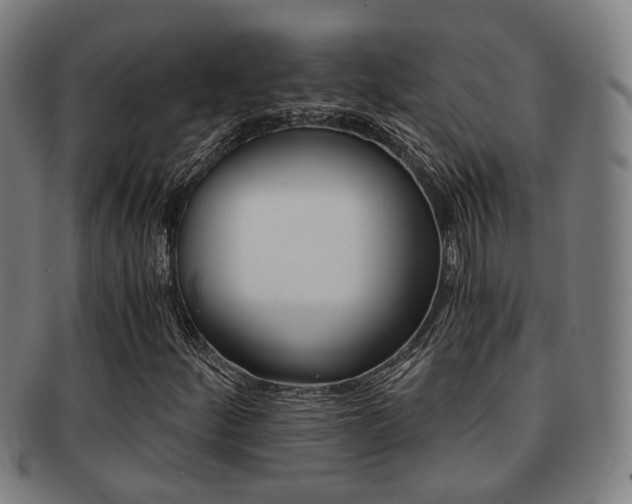 X0000091901252200709051057