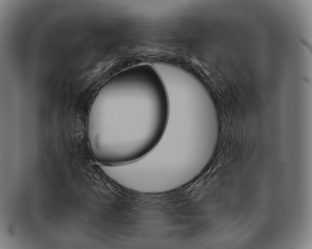 X0000091901253200709051057