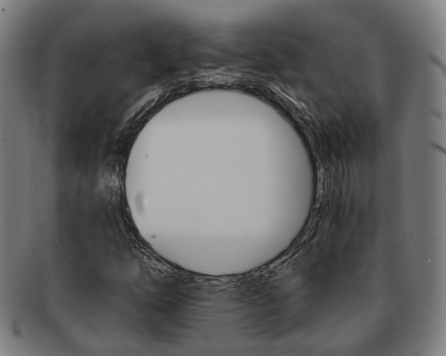X0000091901254200709051057