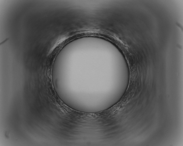 X0000091901255200709051057