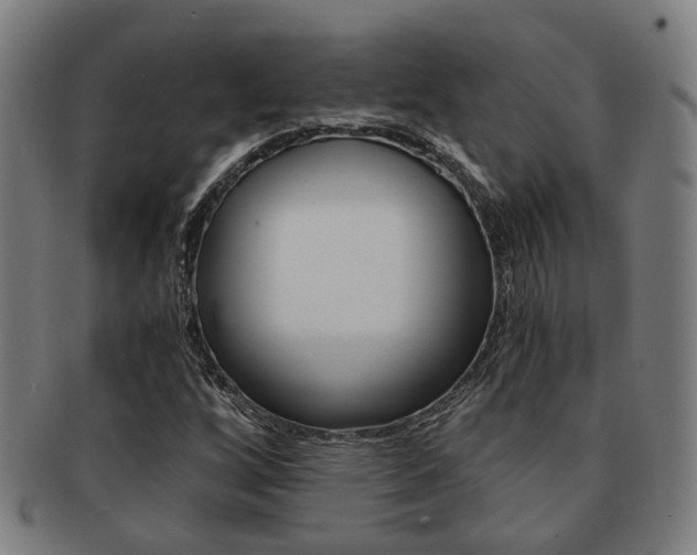 X0000091901256200709051057