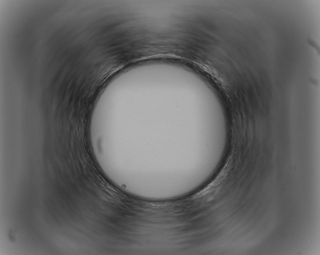 X0000091901257200709051057