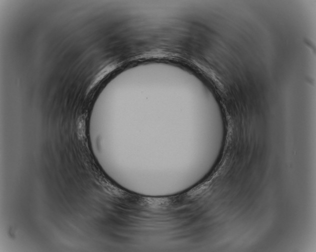 X0000091901258200709051057