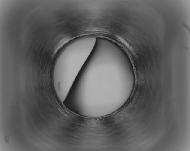 X0000091901259200709051057