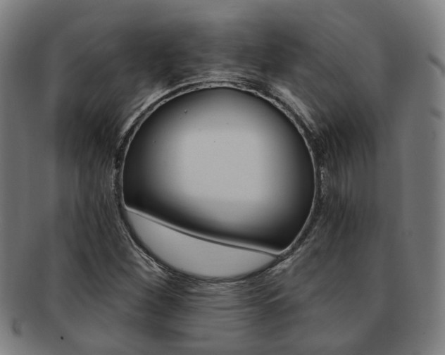 X0000091901260200709051057