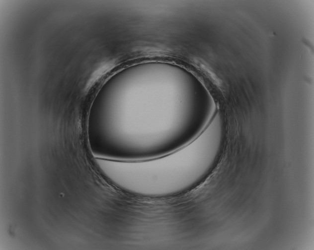 X0000091901261200709051057