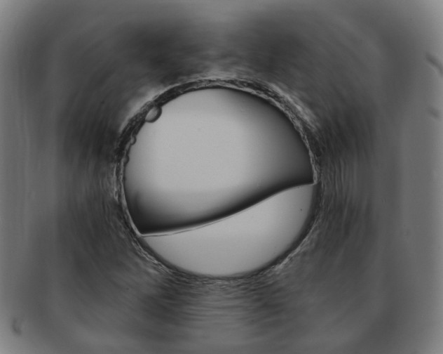 X0000091901262200709051057