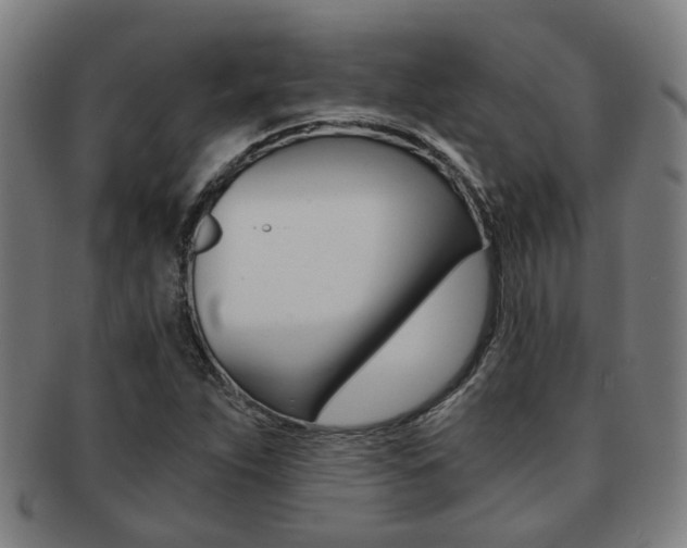 X0000091901263200709051057