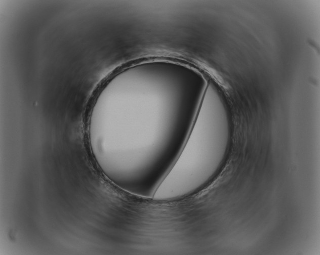 X0000091901264200709051057