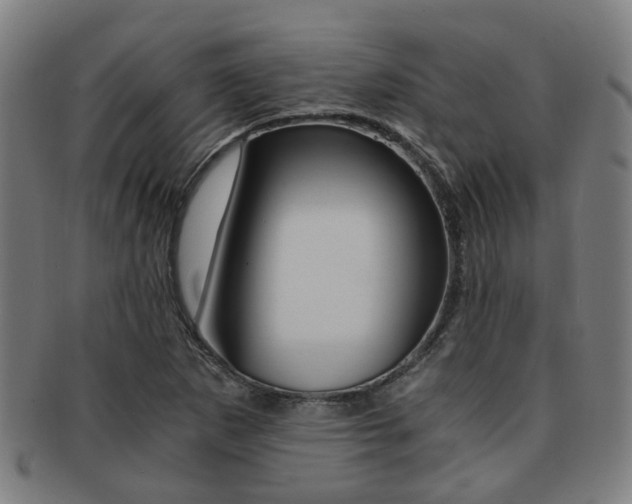 X0000091901265200709051057