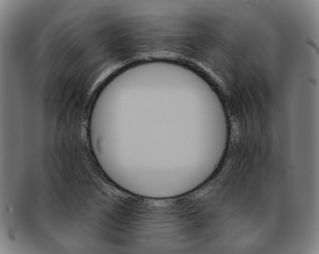 X0000091901266200709051057