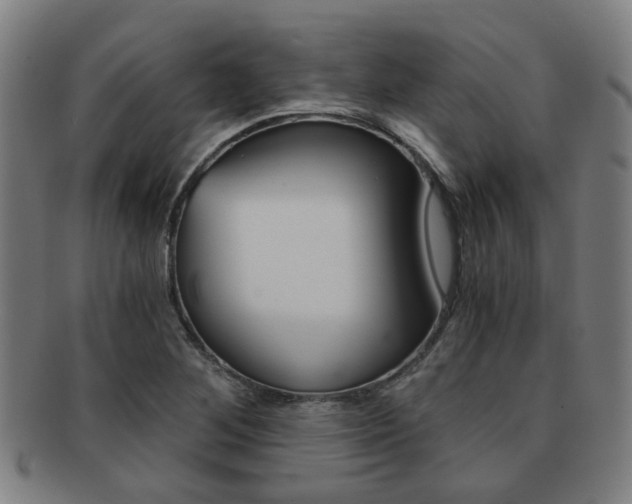 X0000091901268200709051057