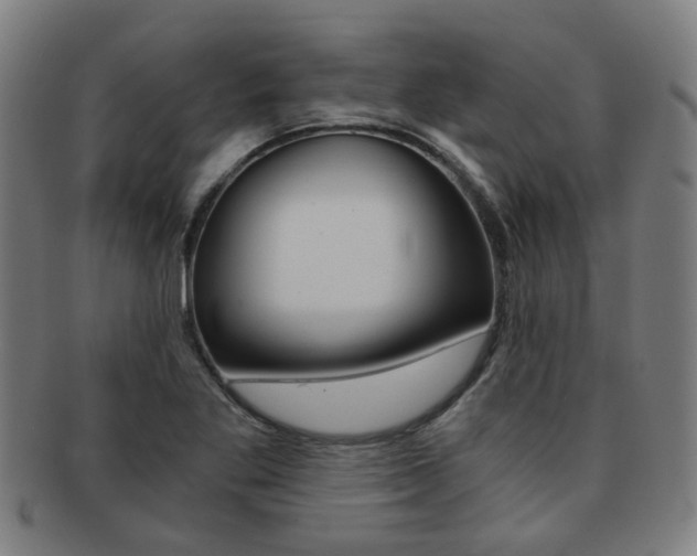 X0000091901269200709051057