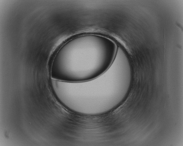 X0000091901270200709051057