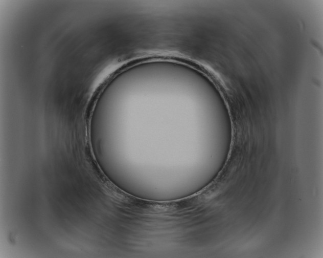 X0000091901271200709051057