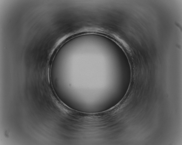X0000091901272200709051057