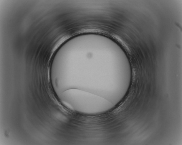 X0000091901274200709051056