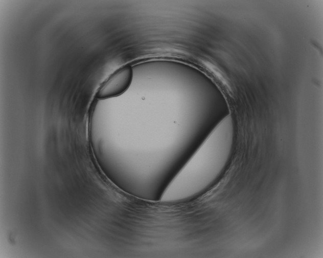 X0000091901275200709051056