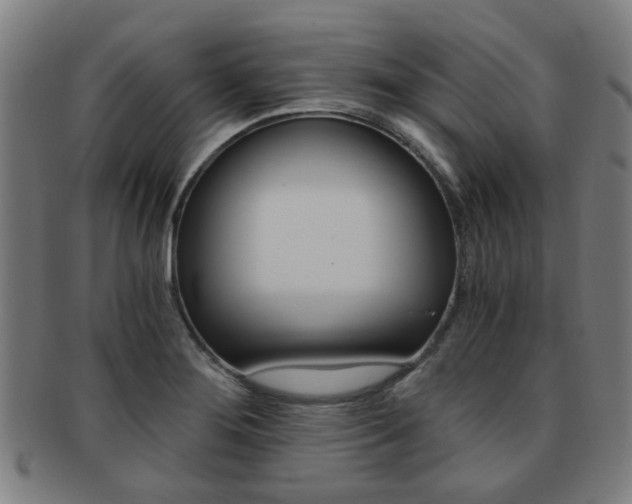X0000091901276200709051056