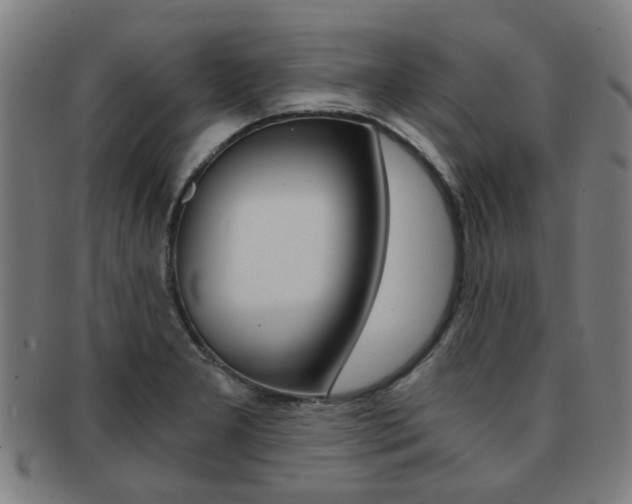 X0000091901277200709051056